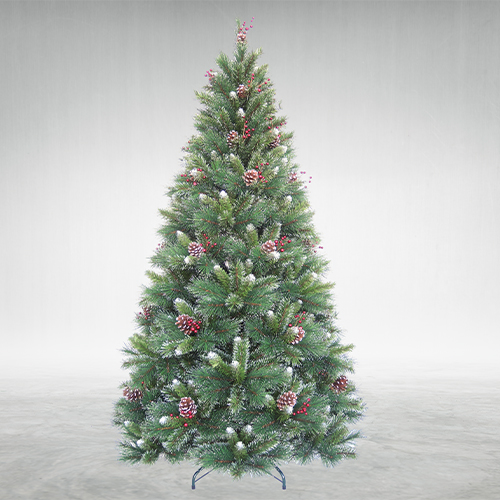 Albanian Cherry Pine